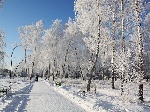 В зимнем парке_2
