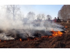 12 пожаров было зарегистрировано за первую декаду мая в Бердске